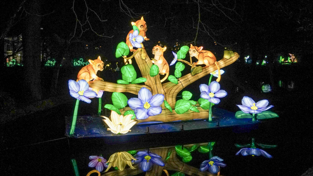 China Lights im K&ouml;lner Zoo