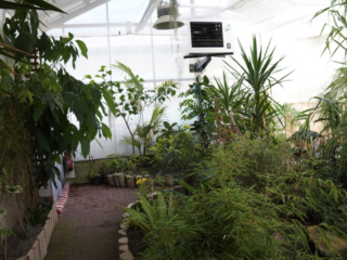 Eifalia Schmetterlingsgarten