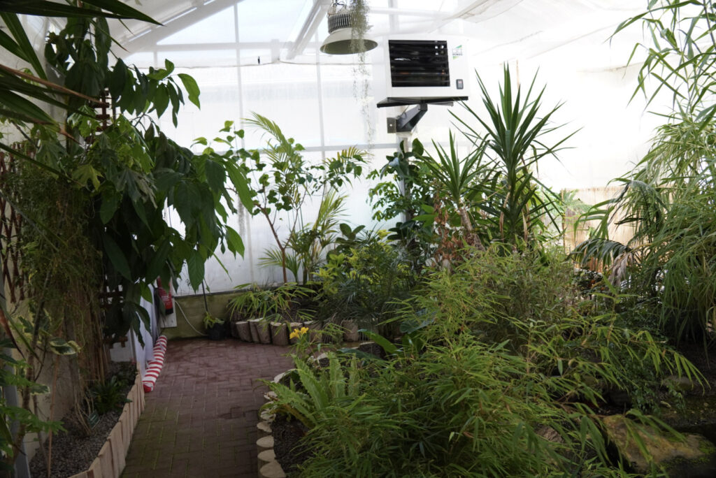 Eifalia Schmetterlingsgarten