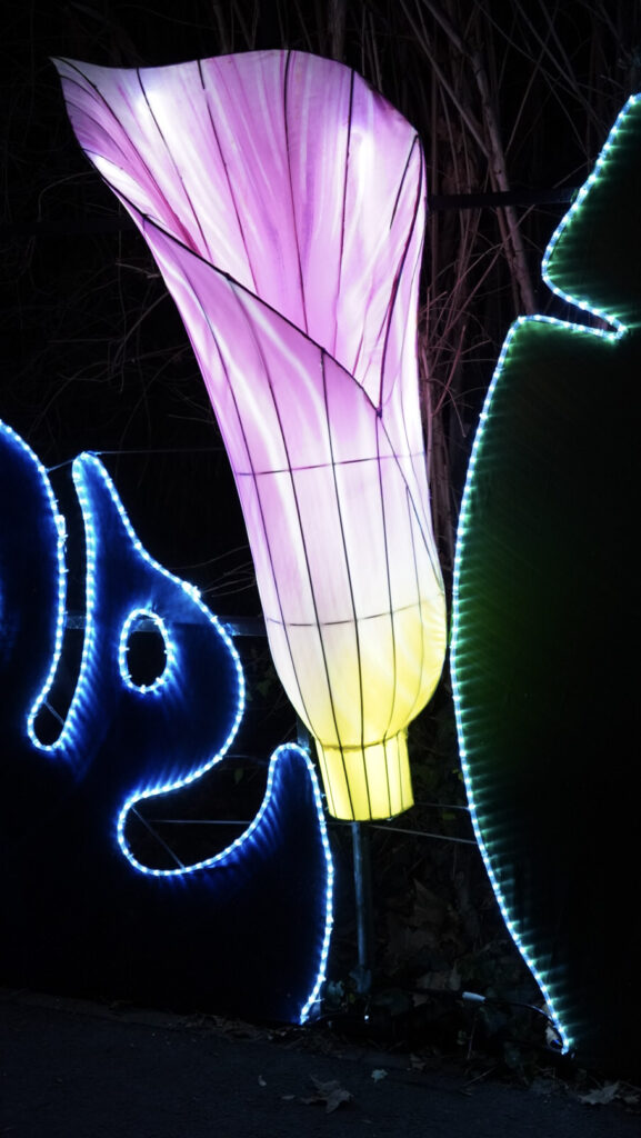 China Lights im K&ouml;lner Zoo