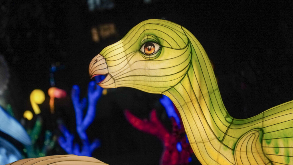 China Lights im K&ouml;lner Zoo