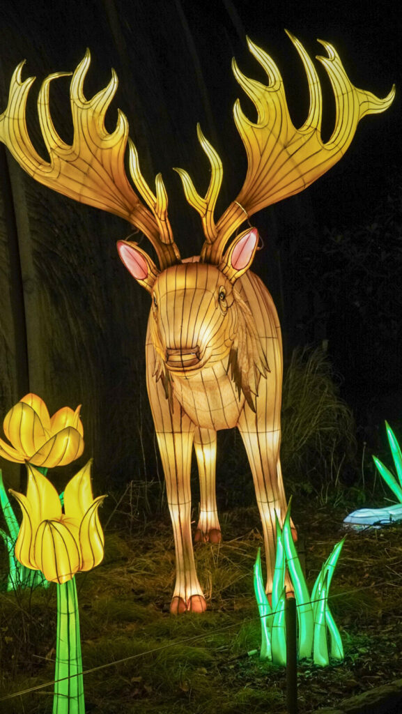 China Lights im K&ouml;lner Zoo