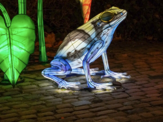China Lights im K&ouml;lner Zoo