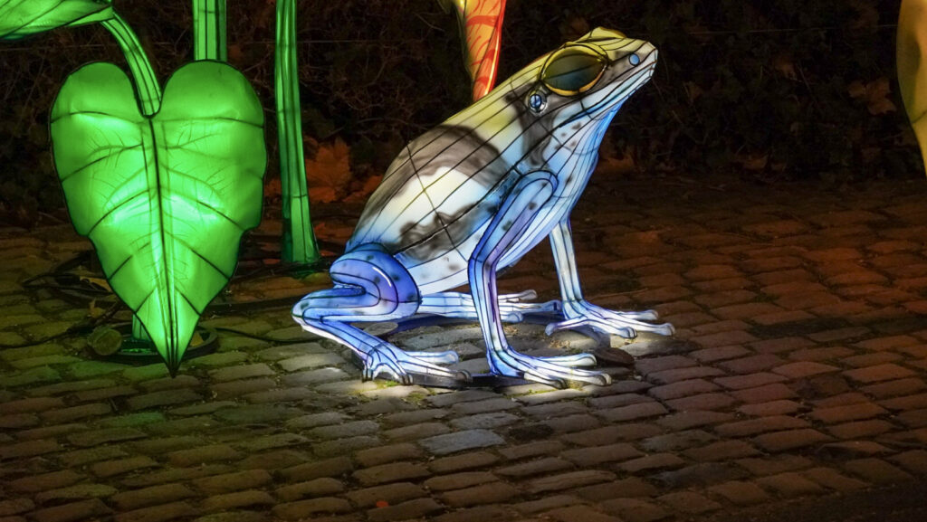 China Lights im K&ouml;lner Zoo