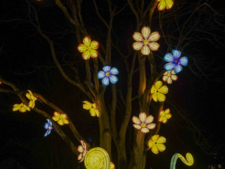 China Lights im K&ouml;lner Zoo