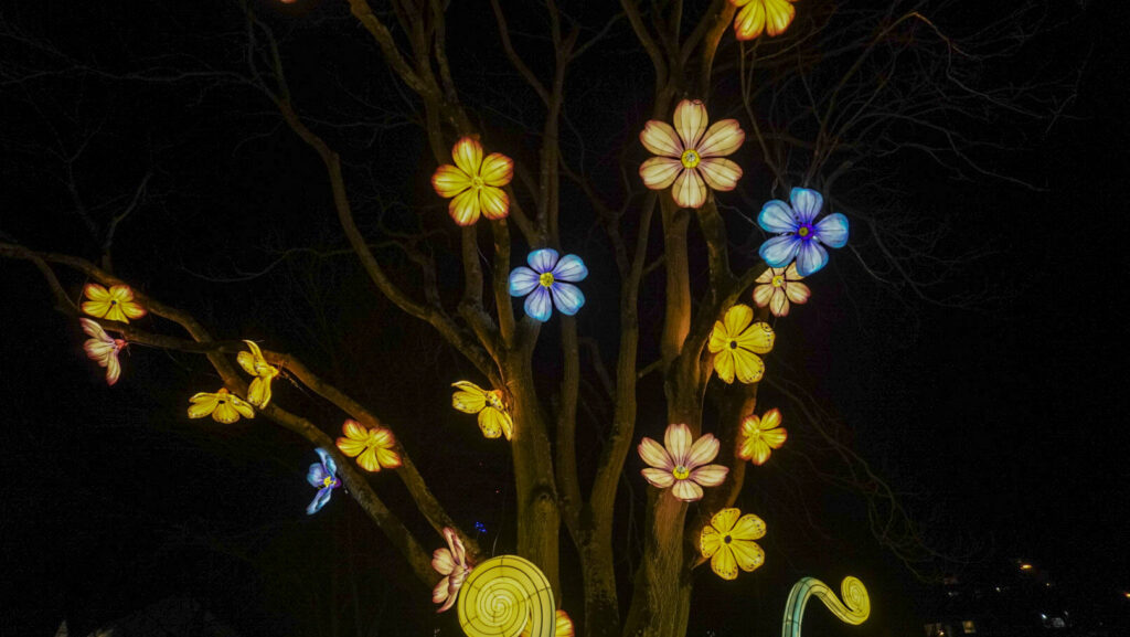 China Lights im K&ouml;lner Zoo