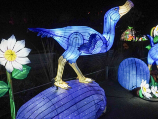 China Lights im K&ouml;lner Zoo