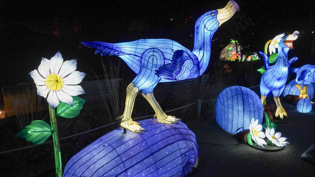 China Lights im K&ouml;lner Zoo