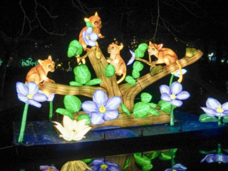 China Lights im K&ouml;lner Zoo