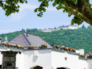 Bootsfahrt und Besuch des Drachenfelsens