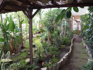 Eifalia Schmetterlingsgarten