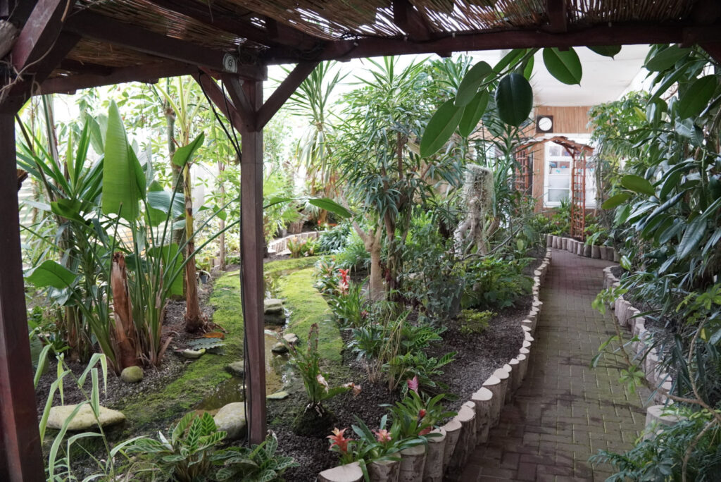 Eifalia Schmetterlingsgarten