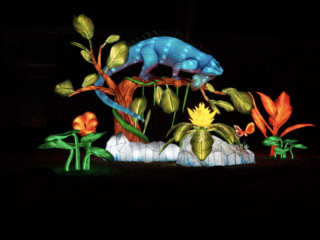 China Lights im K&ouml;lner Zoo