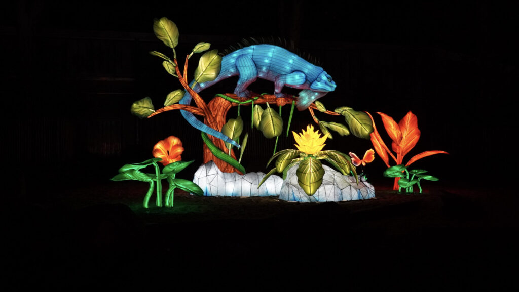 China Lights im K&ouml;lner Zoo