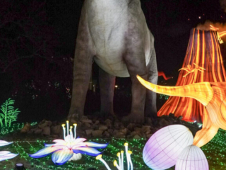 China Lights im K&ouml;lner Zoo
