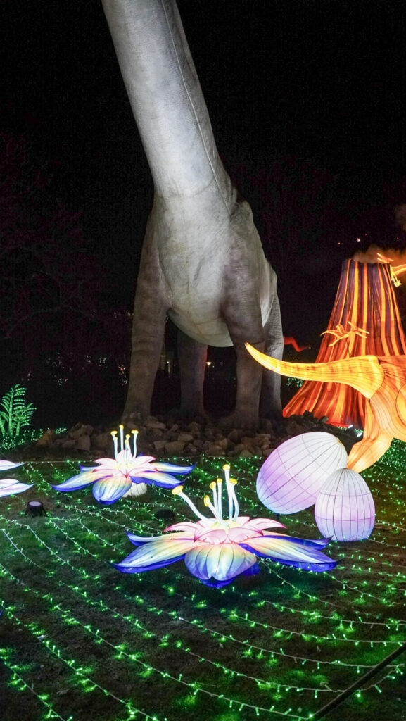 China Lights im K&ouml;lner Zoo