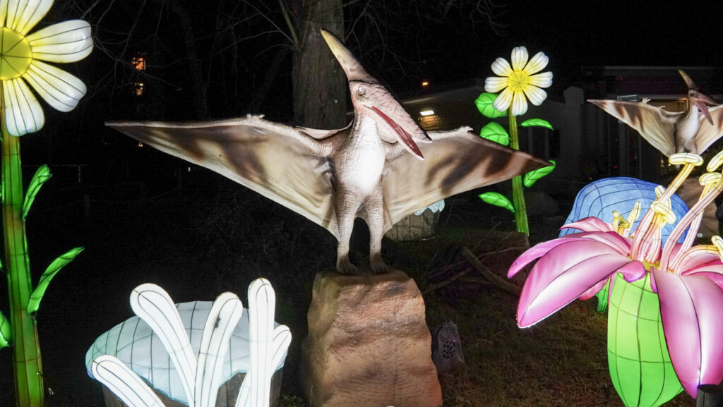 China Lights im K&ouml;lner Zoo