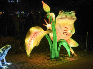 China Lights im K&ouml;lner Zoo