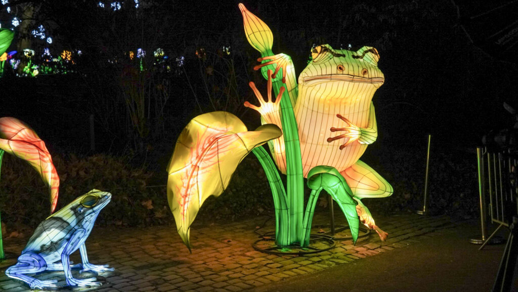 China Lights im K&ouml;lner Zoo