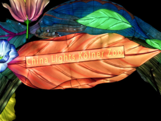 China Lights im K&ouml;lner Zoo