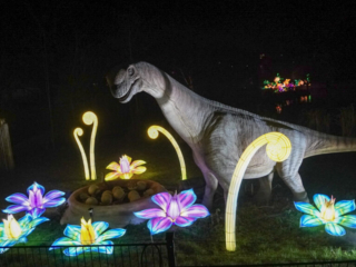 China Lights im K&ouml;lner Zoo