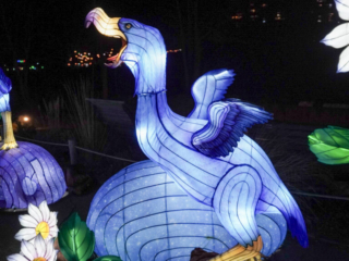 China Lights im K&ouml;lner Zoo