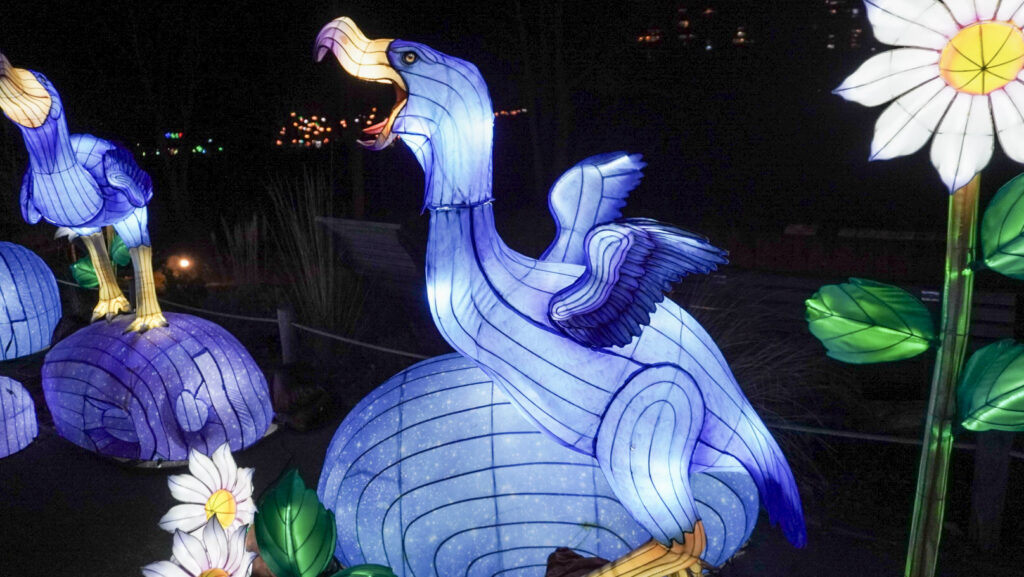 China Lights im K&ouml;lner Zoo