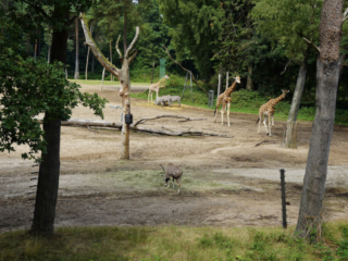 Burgers' Zoo