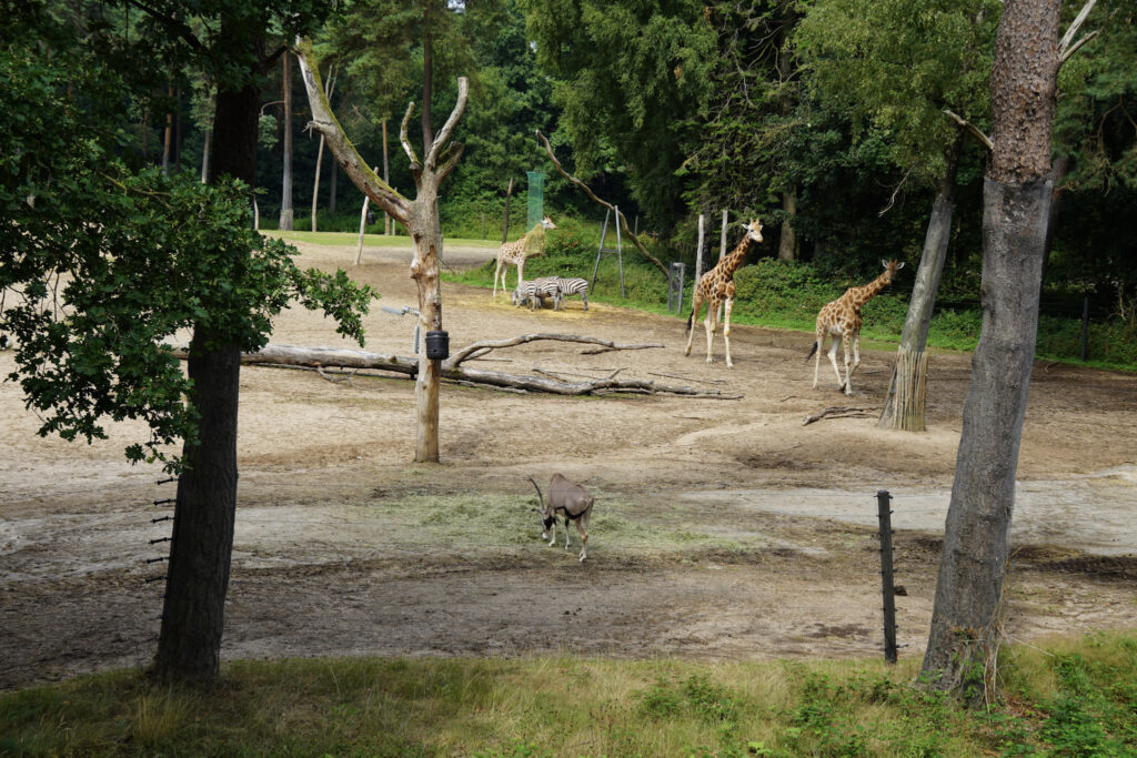 Burgers' Zoo Burgers' Zoo