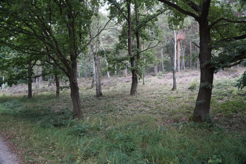 Zeitblende 1975 - Freilichtmuseum Kommern