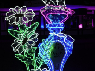 Garden of Lights Garden of Lights