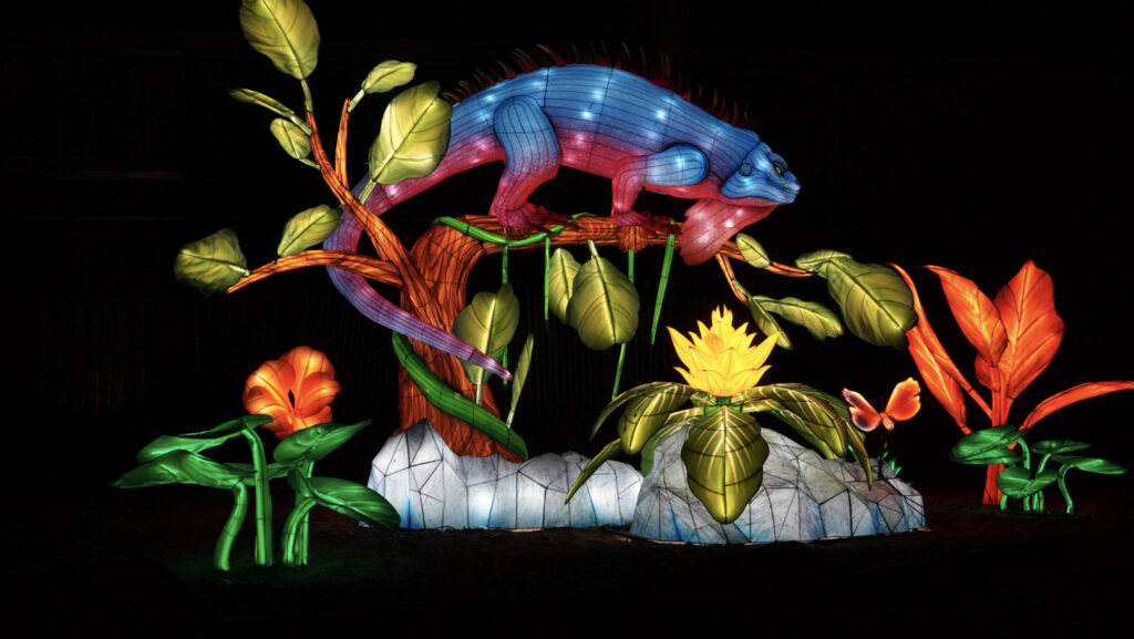 China Lights im K&ouml;lner Zoo