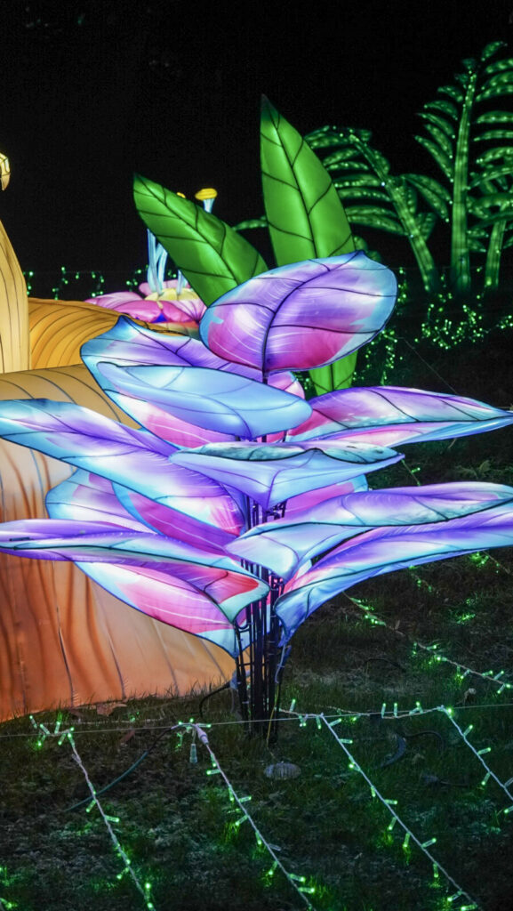 China Lights im K&ouml;lner Zoo