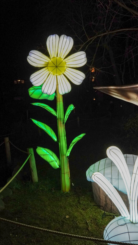 China Lights im K&ouml;lner Zoo