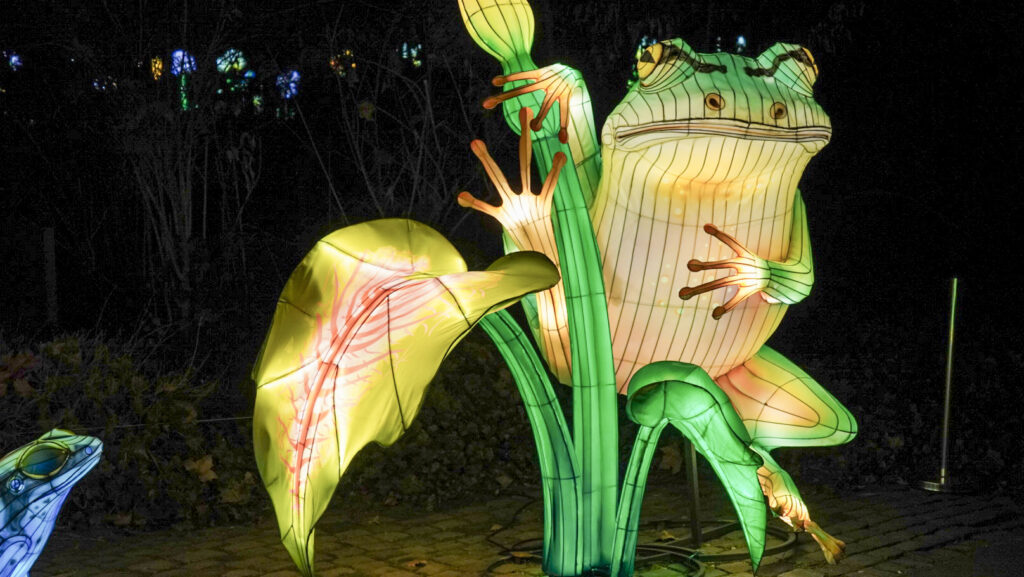 China Lights im K&ouml;lner Zoo