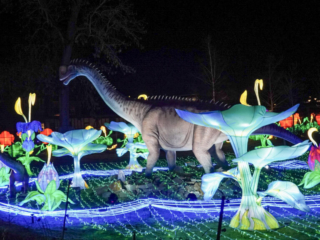 China Lights im K&ouml;lner Zoo
