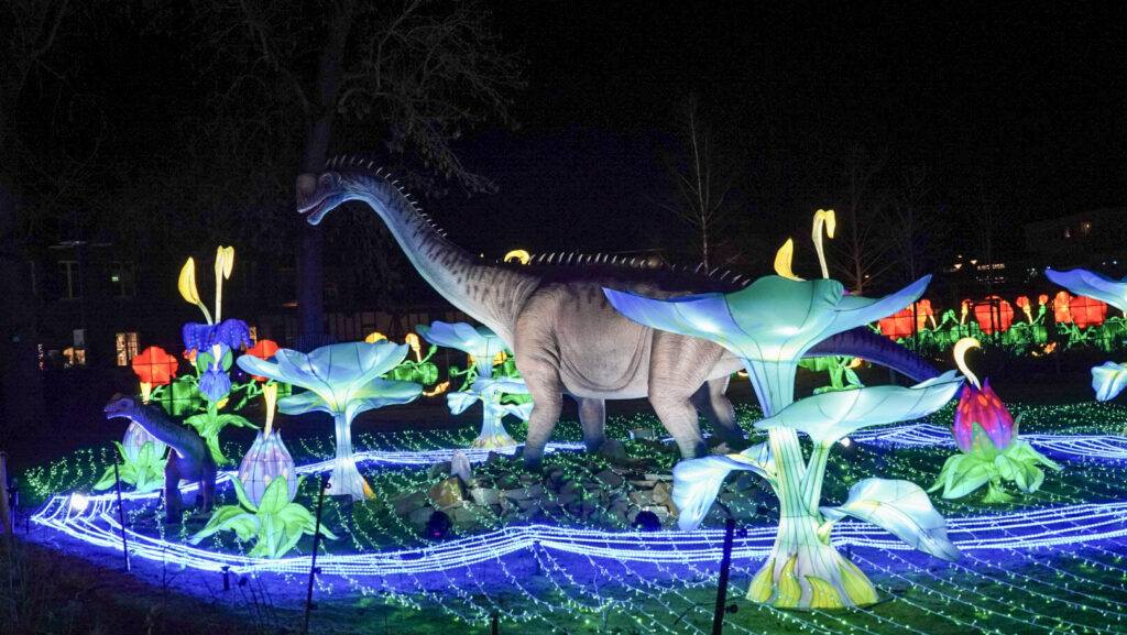 China Lights im K&ouml;lner Zoo