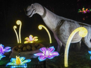 China Lights im K&ouml;lner Zoo