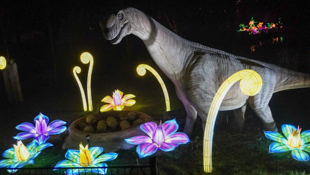 China Lights im K&ouml;lner Zoo