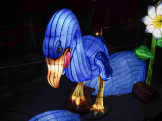 China Lights im K&ouml;lner Zoo