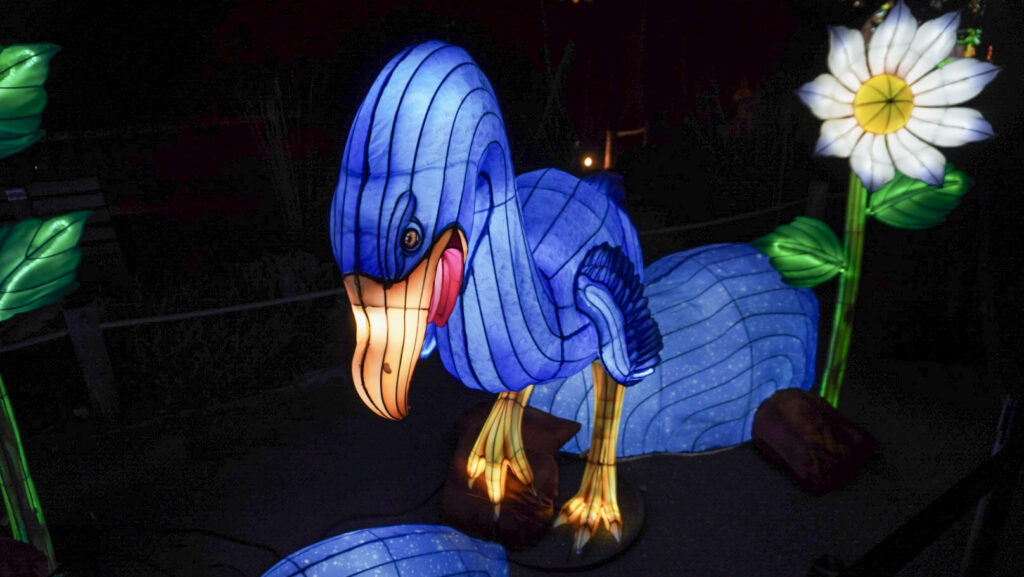 China Lights im K&ouml;lner Zoo