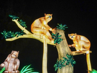 China Lights im K&ouml;lner Zoo