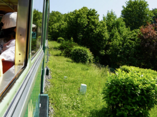 Bootsfahrt und Besuch des Drachenfelsens