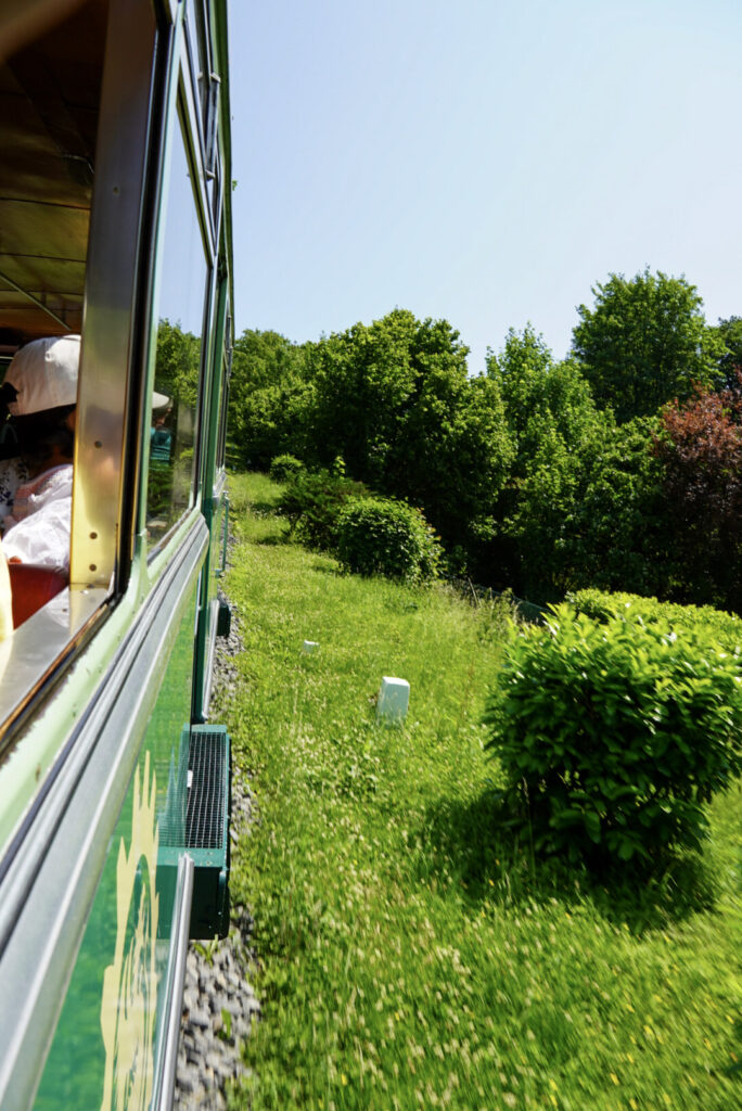 Bootsfahrt und Besuch des Drachenfelsens