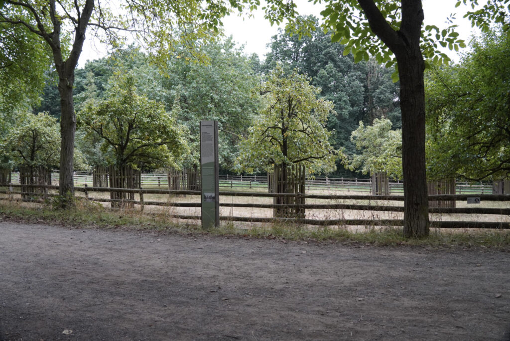 Zeitblende 1975 - Freilichtmuseum Kommern