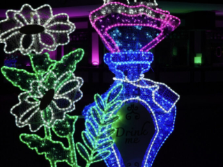 Garden of Lights Garden of Lights