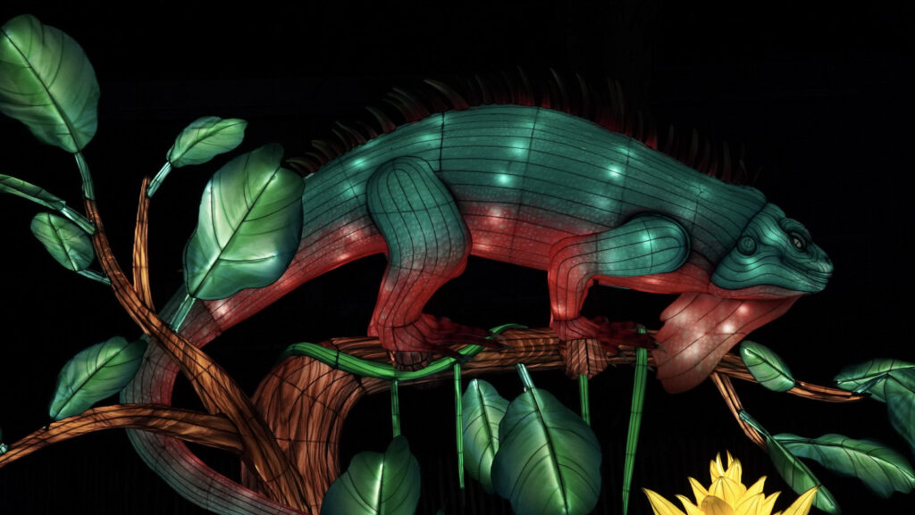 China Lights im K&ouml;lner Zoo