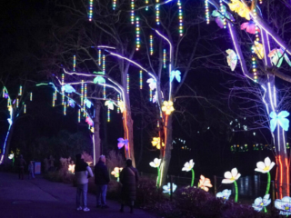 China Lights im K&ouml;lner Zoo