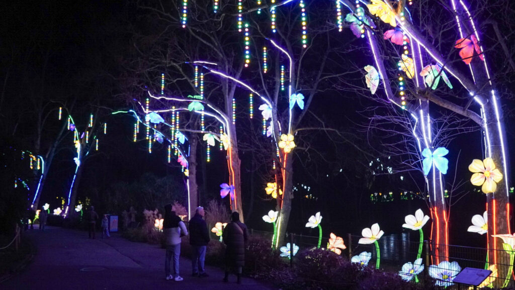 China Lights im K&ouml;lner Zoo