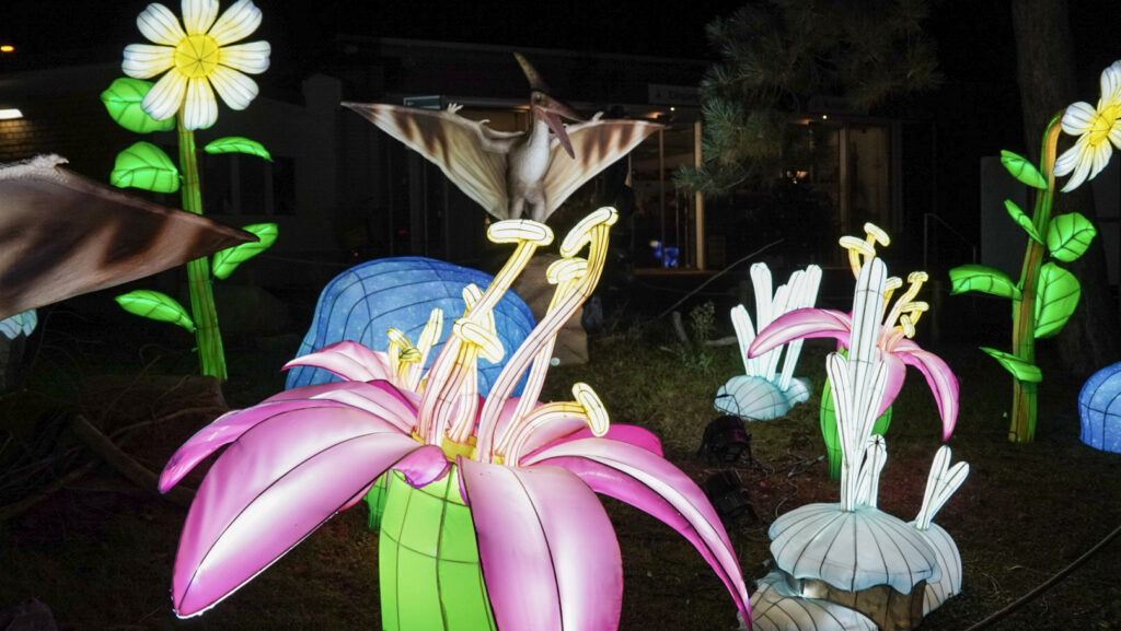 China Lights im K&ouml;lner Zoo